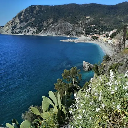 Alle 5 Terre