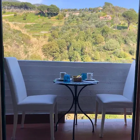 安菲塔卡梅尔阿勒特里5酒店 3*