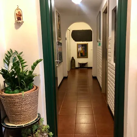 安菲塔卡梅尔阿勒特里5酒店