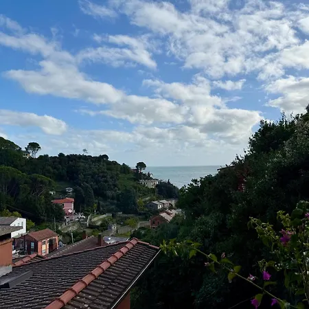 安菲塔卡梅尔阿勒特里5酒店