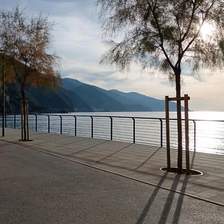 招待所 安菲塔卡梅尔阿勒特里5酒店 蒙特罗索阿尔马雷